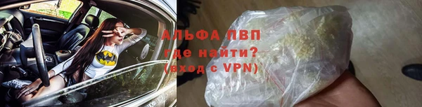 Альфа ПВП Ростов