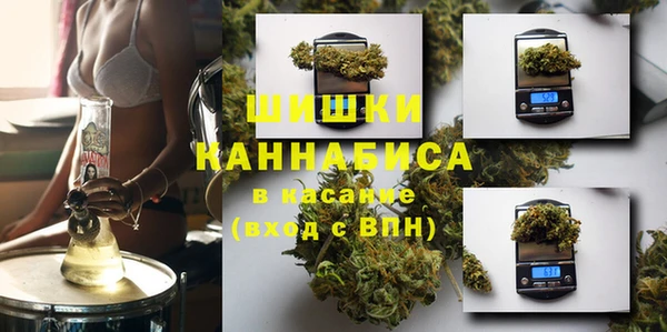 мет Касимов