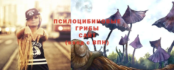 мет Касимов