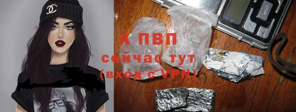 spice Рославль