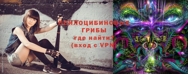 spice Рославль